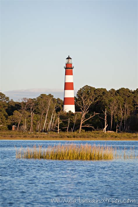 Assateague Island Lighthouse » catinaanderson.com