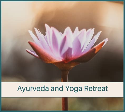 Ayurveda and Yoga Retreat - Salt Spring Centre of Yoga