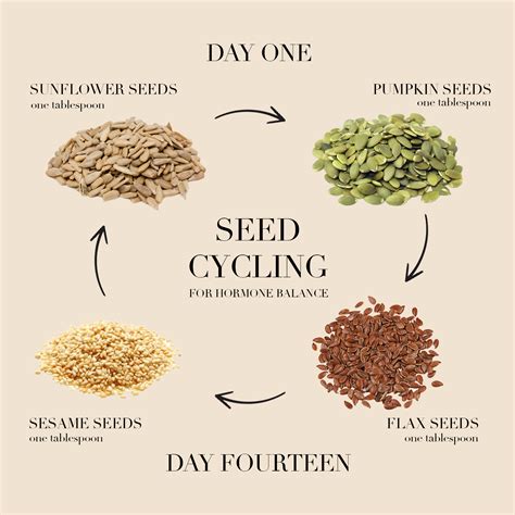 How to do seed cycling – Artofit