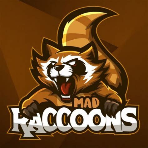 Raccoon89p13 Gaming - YouTube