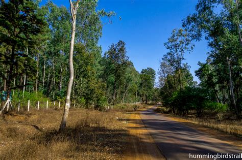 Amarkantak, a pilgrimage of clouds Amarkantak, Madhya Pradesh, India - Hummingbird's Trail