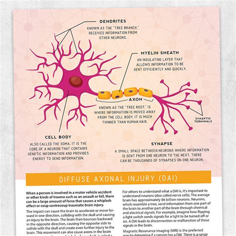 Diffuse Axonal Injury (DAI) – Adult and pediatric printable resources ...