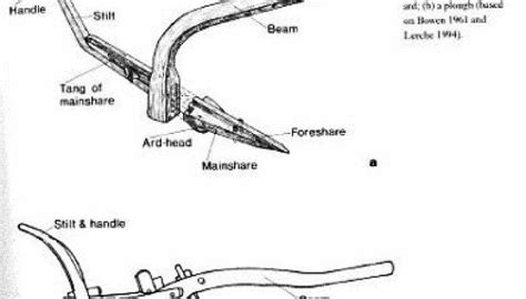 How the heavy plough changed the world