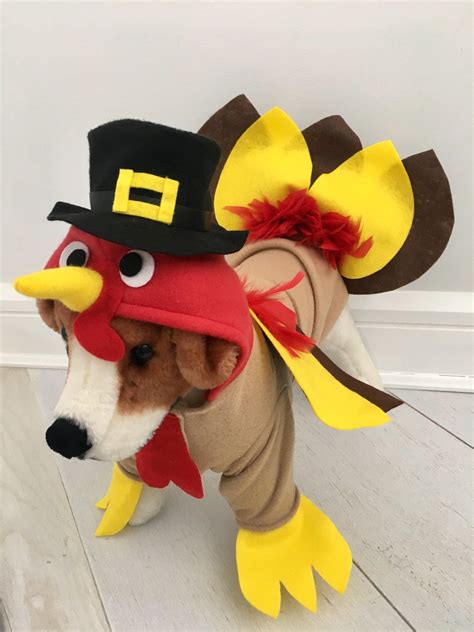 Turkey costume Dog thanksgiving costume Dog turkey costume