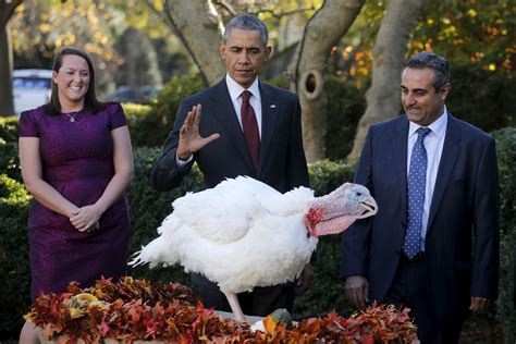 A look at the history of the White House turkey pardon as Obama prepares to pardon his eighth ...