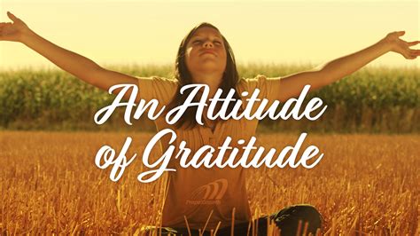 WHAT IS GRATITUDE AND WHY IS IT SO IMPORTANT?
