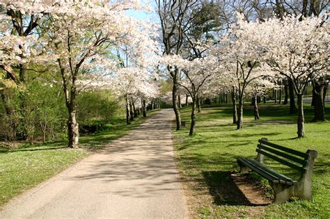 The 10 best Toronto parks to explore while social distancing - Streets ...