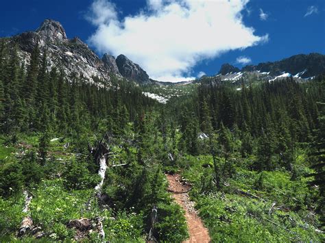 Green Trees And Rocky Mountains · Free Stock Photo