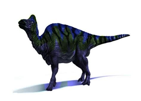 Jaxartosaurus | Description, Size, Fossil, Diet, & Facts