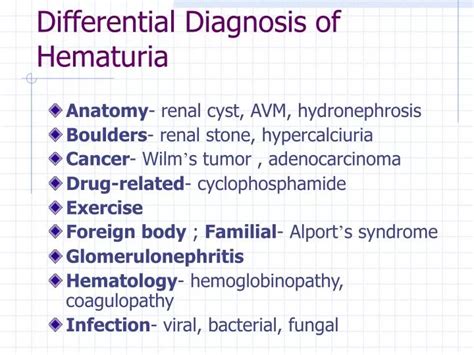 PPT - Differential Diagnosis of Hematuria PowerPoint Presentation, free download - ID:893174