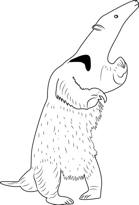 Anteater Standing Coloring Page for Kids - Free Anteater Printable Coloring Pages Online for ...