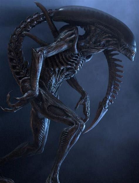 Alien Vs Predator, Xenomorph, Horror Movie Posters, Sci Fi Horror ...