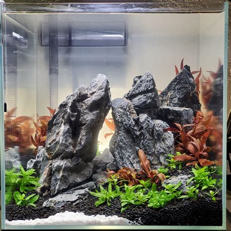 Finally flooded the tank. Thanks for all the ideas from everyone here. I'm happy with how it ...