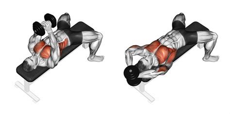 Dumbbell Pullover Tips To Target Back vs Chest