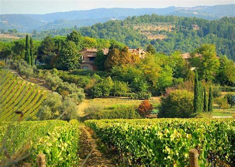 Tuscany Wine Guide | Chianti Tuscany Travel