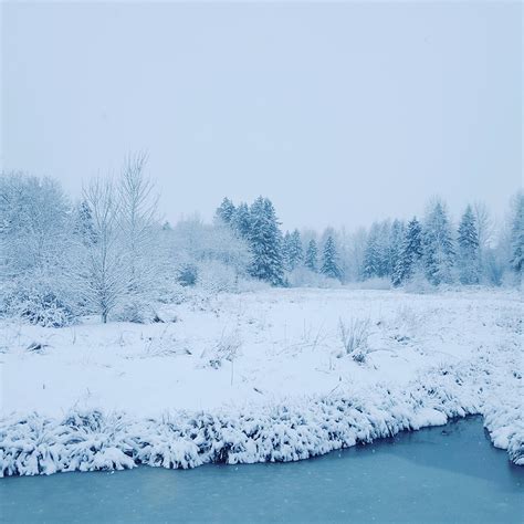 Winter Weather Vancouver, WA [OC] (2988x2988) : EarthPorn