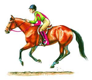 Use these tips to develop a better hand gallop. (With images) | Horses, Horse training, Horse care