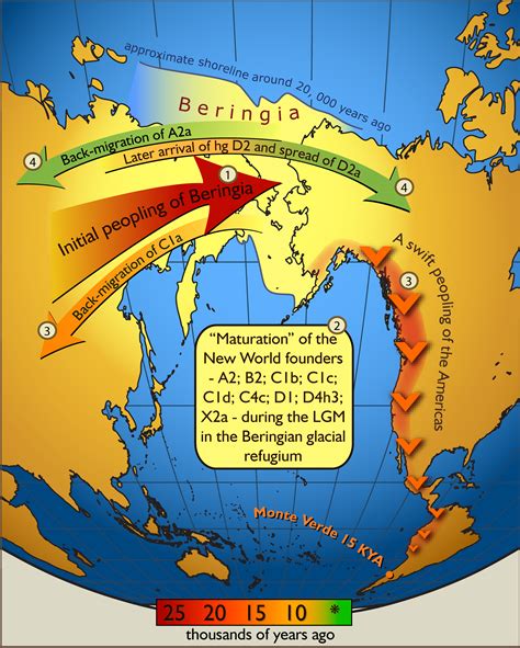 Bering land bridge: strip of land connecting Siberia to Alaska during the last Ice Age, which ...