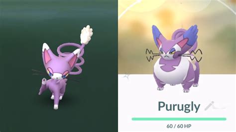 Catching *NEW* Shiny Glameow In Pokemon Go!! Shiny Purugly Evolution! Sinnoh Throwback Week ...