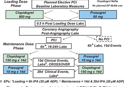 Figure 1 from Prasugrel Compared With High Loading– and Maintenance–Dose Clopidogrel in Patients ...