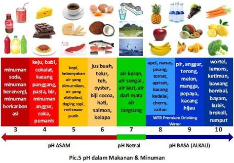 Ph Of Vegetables Chart