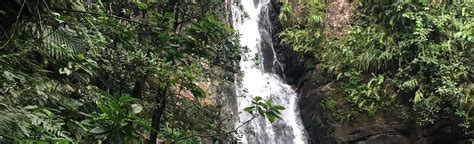 La Mina Waterfall via Big Tree Trail [CLOSED], East Region, Puerto Rico ...