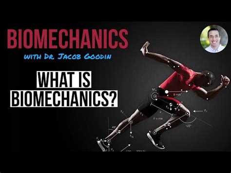 What Is Biomechanics? Exploring Examples And Applications