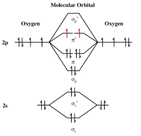 O2 Bond Order Diagram