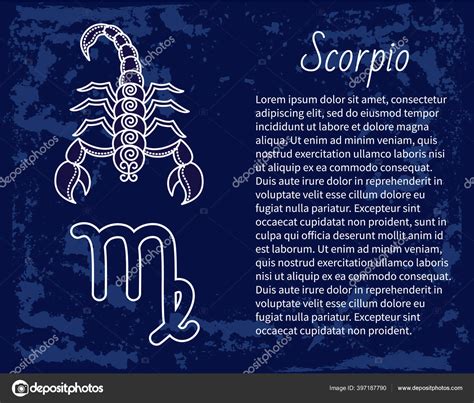 Scorpio Zodiac Sign Astrology and Horoscope Vector Stock Vector by ...