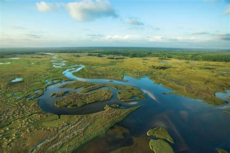 Everglades National Park | Location, History, & Facts | Britannica