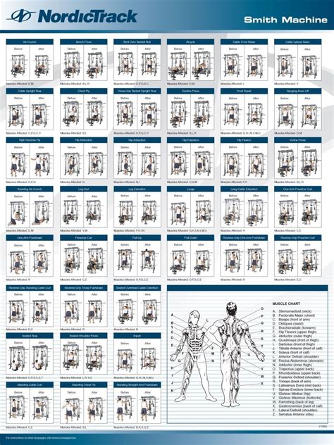 Printable Smith Machine Workouts - Printable Word Searches