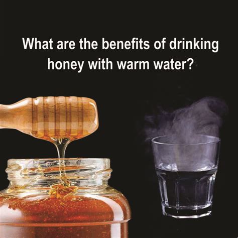 Honey with Warm Water: Benefits of Honey For Weight Loss– Navmi Food