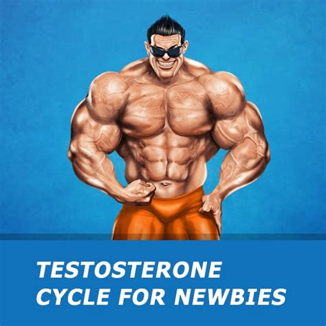 Steroid Cycles - Testosterone cycle for newbies