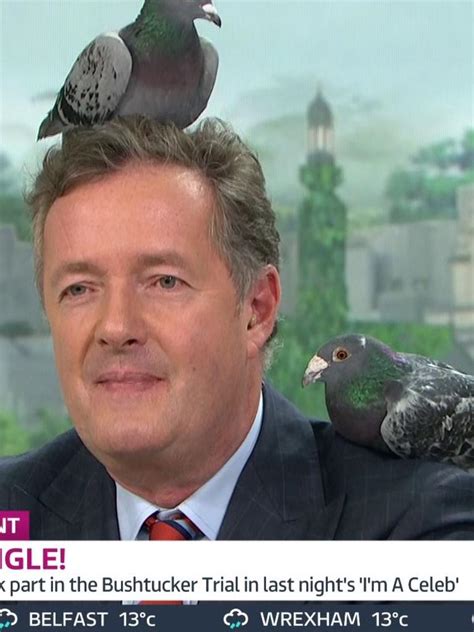 Home Alone 2: Piers Morgan denies he played the pigeon lady | The ...