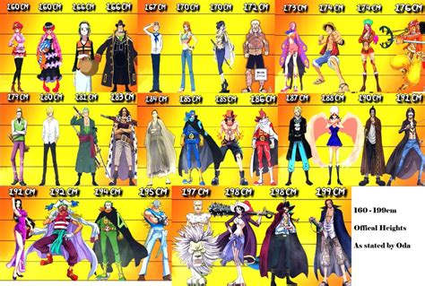 All One Piece characters with average heights 160cm-199cm (official ...