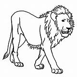Lion Coloring Pages Free To Color For Children Kids  sketch template