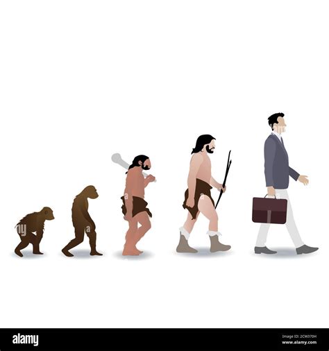 Clipart Evolution Of Man Timeline