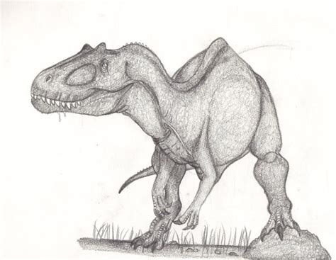 Aerosteon Pictures & Facts - The Dinosaur Database