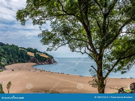 Image of Blackpool Sands Beach Stock Image - Image of paradise ...