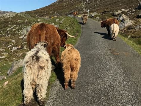 3 amazing cycle routes on the Isle of Harris (Outer Hebrides) | Òrannamara Luxury Beach Cottage