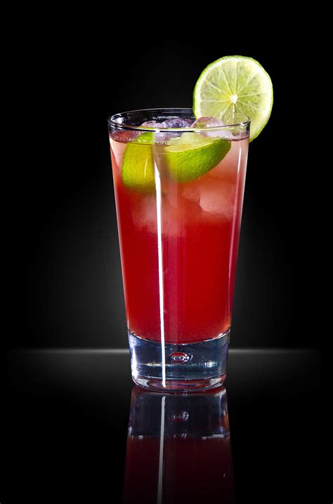 Cranberry Juice and Lime Cocktail - FoodEverest.com