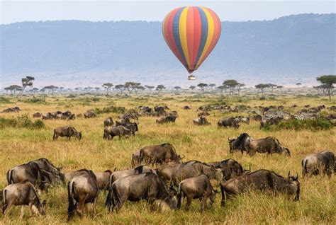 Masai Mara Hot air balloon safari | Maasai Mara Safaris Tours