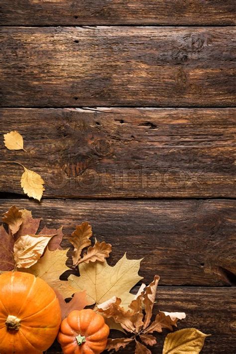 Thanksgiving or Autumnal holiday ... | Stock image | Colourbox