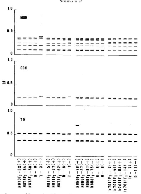 Figure 1 from A Note on Isozyme Analysis of F1 Progeny of Gonium ...