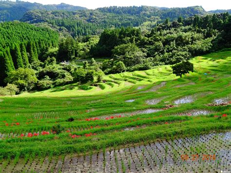 Want To Adopt An 800 Year Old Rice Paddy? The Charm Of Oyama Senmaida | MATCHA - JAPAN TRAVEL ...