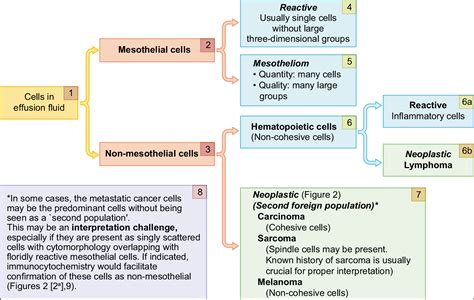 Approach to Diagnostic Cytopathology of Serous Effusions - CytoJournal