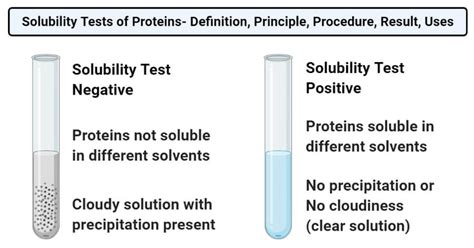 eğreltiotu öğretme Topuk are amino acids soluble in water dudak klasik ...