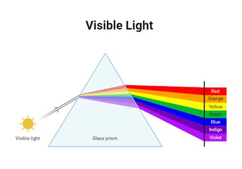 Visible Light (White Background) | BioRender Science Templates