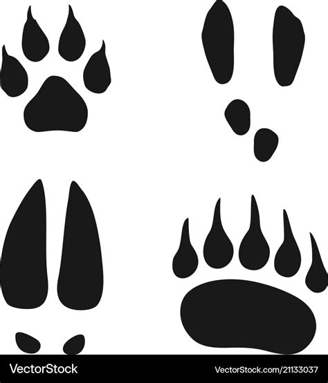 Wild animals footprints set Royalty Free Vector Image