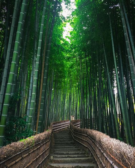 LOOK: Kyoto photo reminiscent of 'Spirited Away' mesmerizes netizens | Inquirer Technology